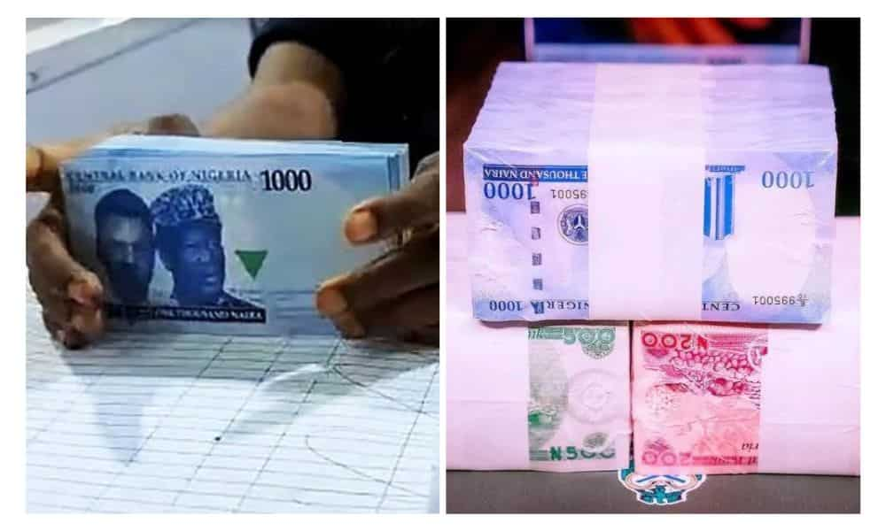 New naira: Customers and banks urge CBN to change the deadline to January 31