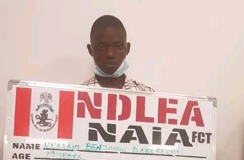 NDLEA Arrests Europe-Bound Teenage Student With Drugs