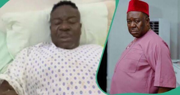 Mr Ibu