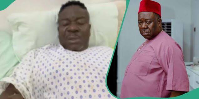 Mr Ibu